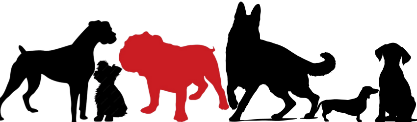 A group of different types of dogs in black with a red bulldog in the center